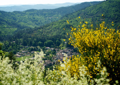 Paysage cévenol