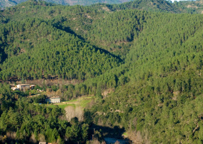 Paysage des Cévennes