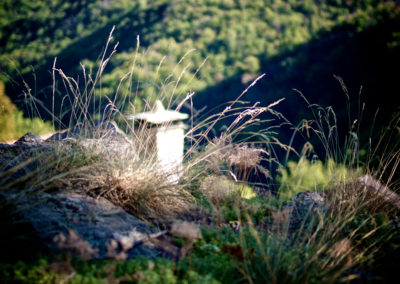 Au détour d'un chemin, en Cévennes