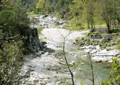 Vallée du Gardon